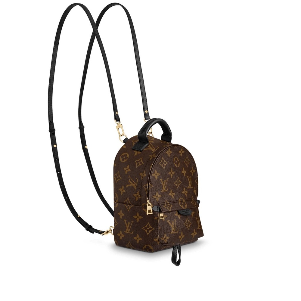 BNIB/NWT Louis Vuitton Mini Palm Springs Backpack - Picture 2 of 8
